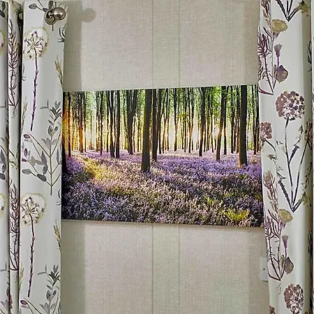Bluebell With Hot Tub York